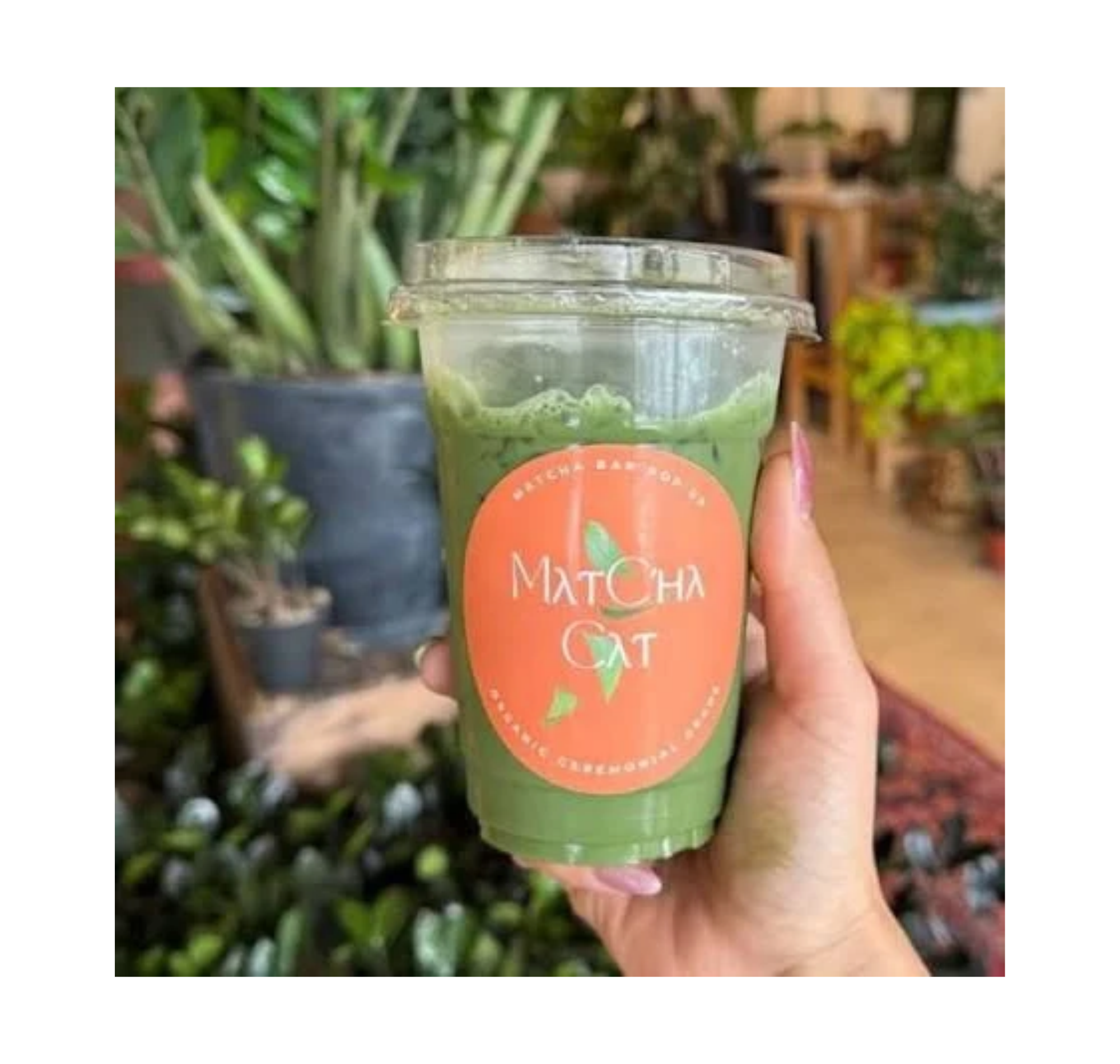 Matcha Cat matcha drink in a cup with the Matcha Cat label